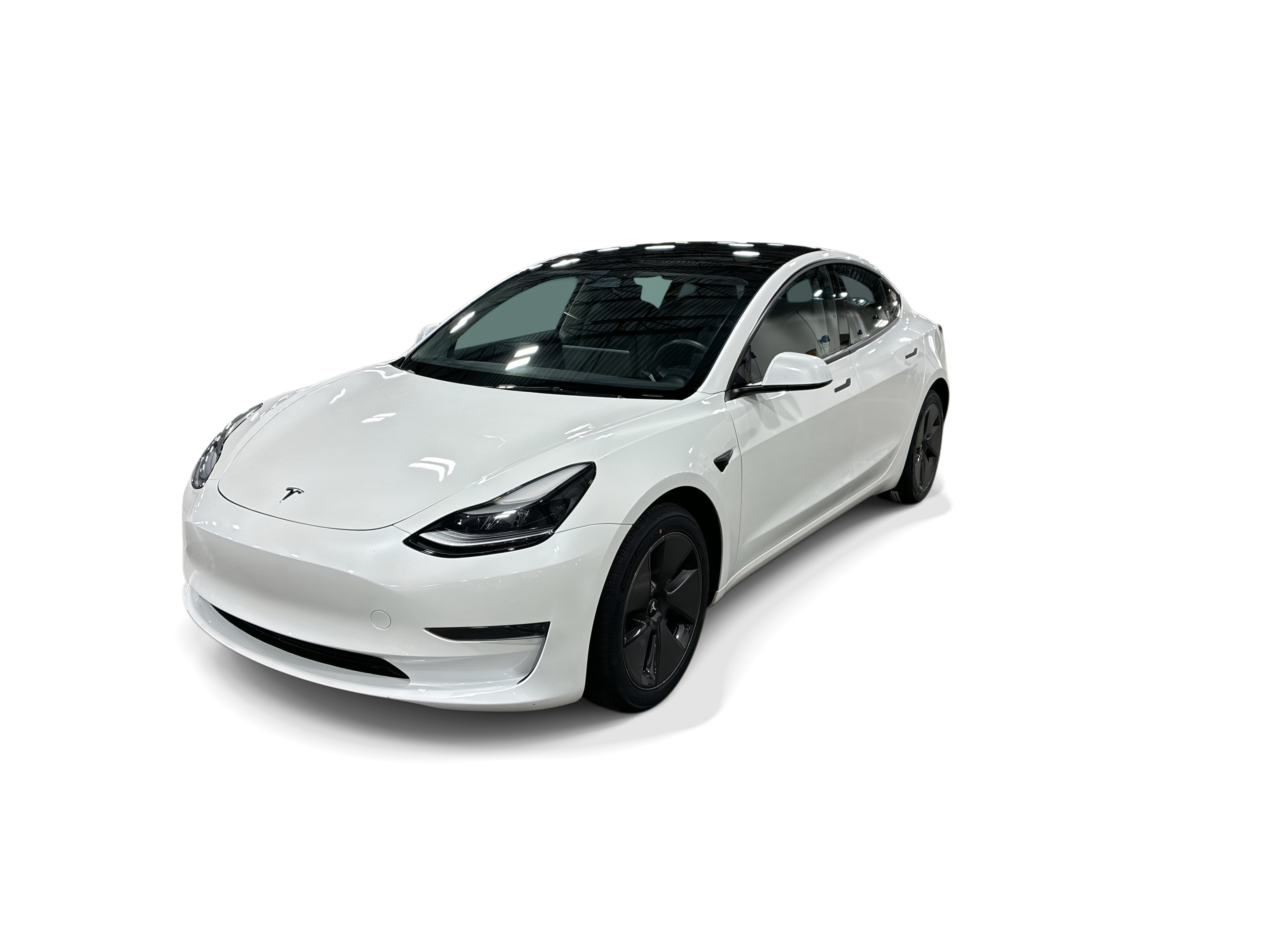 tesla model 3 2023 5YJ3E1EA8PF600461 image tesla model 3 2023 5YJ3E1EA8PF600461 image